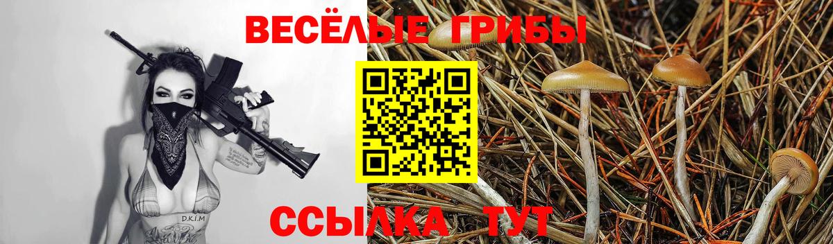 Асино  Псилоцибиновые грибы ЛСД  Галлюциногенные грибы Cubensis  как найти закладки  Вход с VPN 