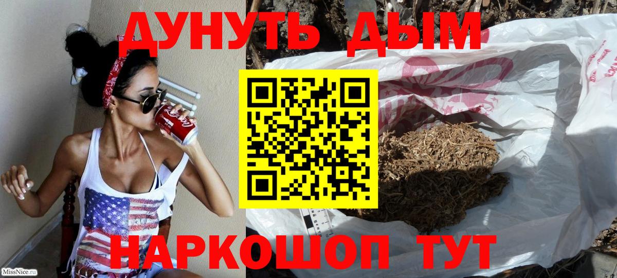 Бошки Шишки планчик Асино